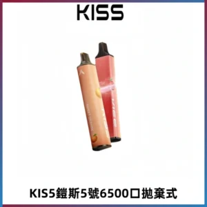 KIS5鎧斯5號一次性6500口磁吸式拋棄式電子煙#自由混搭#